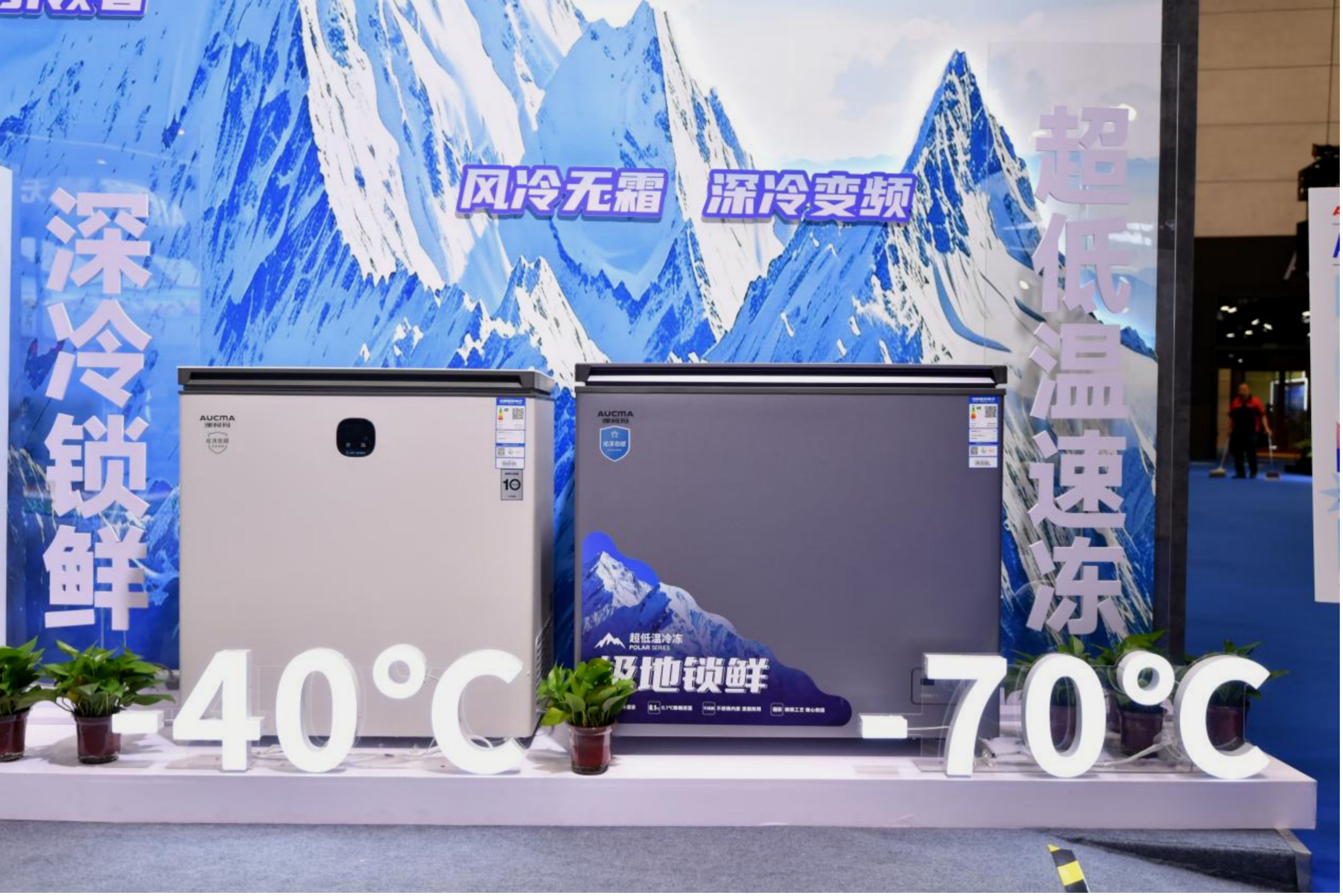 图片2 拷贝.jpg